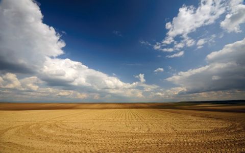 На Львівщині працівник Держземагентства підозрюється у нанесенні державі збитків на 1,2 млн грн