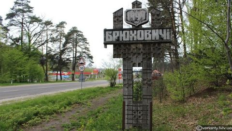 Львівська ОВА програла справу щодо повернення двох лісових ділянок у Брюховичах