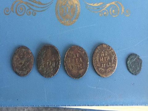 У Шегині львівські митники вилучили давні монети у німецького контрабандиста