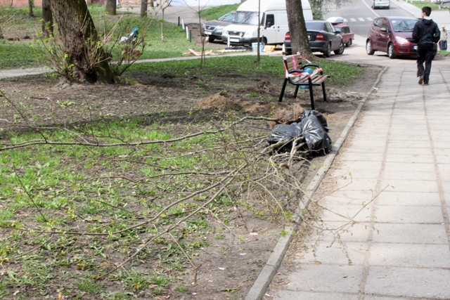 Львів озеленять на два мільйони гривень