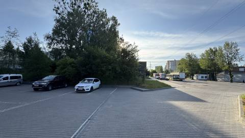 Ділянку з деревами на Вашингтона хочуть продати для нової офісної забудови