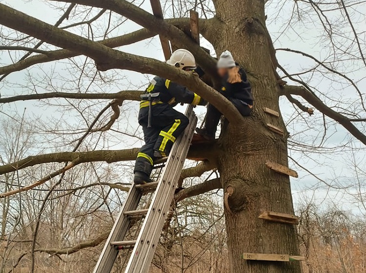На Львівщині рятувальники визволяли 10-річну дівчинку, яка застрягла на дереві