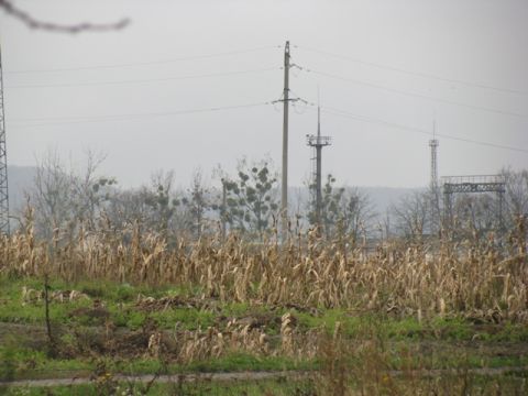 Козицький продасть землю на Золочівщині львівській будфірмі з польськими власниками