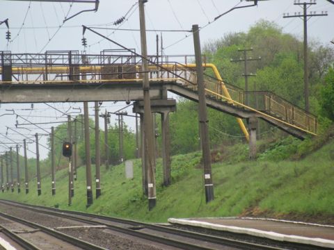 Поблизу Бродів вантажний поїзд насмерть збив місцеву мешканку