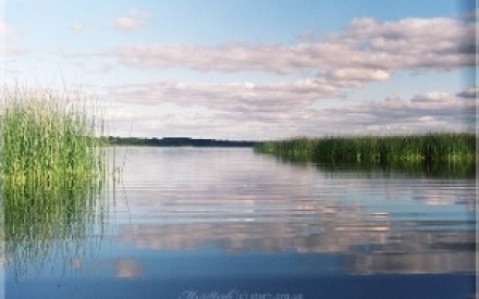 У Перемишлянському районі затонула людина