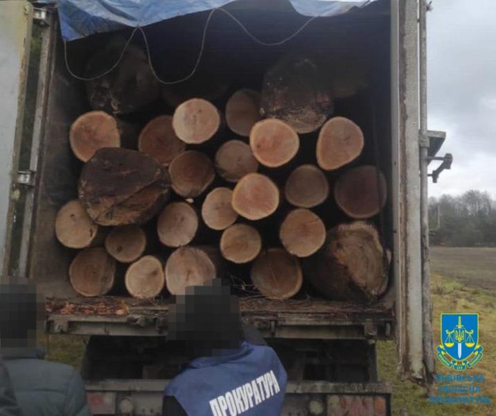 Посадовці Львівського лісгоспу дозволили вирубати ліс на майже чотири мільйони гривень
