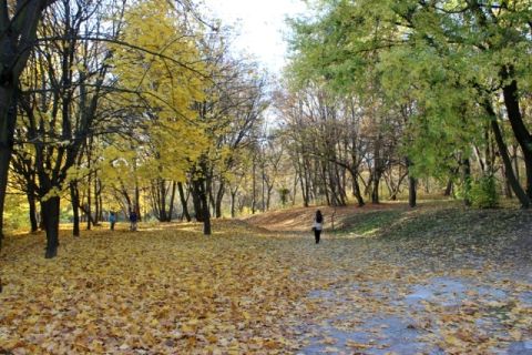 Курс валют у Львові на 7 жовтня