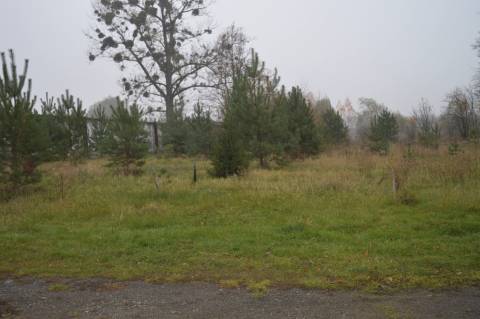 руїна на Ходорівському стадіоні