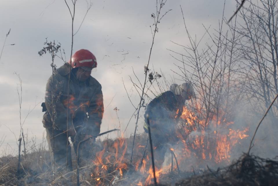 На Львівщині виникло 38 пожеж сухої трави та стерні