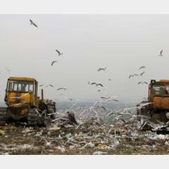 Грибовицьке сміттєзвалище експлуатуватимуть ще до кінця 2013 року - Сергій Кіраль