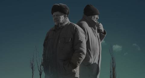 Сірі бджоли