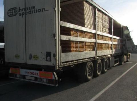 На Львівщині викрили експорт деревини