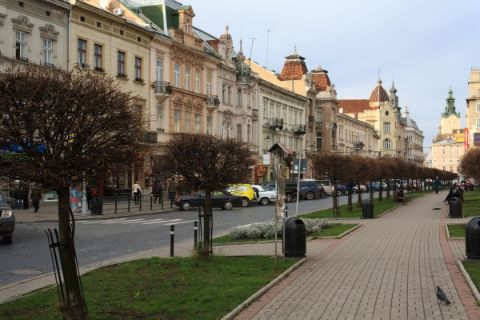 Погода на завтра: вранці та вночі можливі заморозки