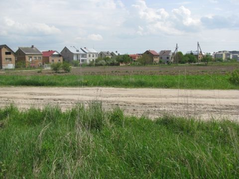 Стрийська РДА незаконно передала в оренду понад 80 гектарів землі