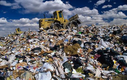 Нове львівське сміттєзвалище може бути у Городоцькому або Миколаївському районах