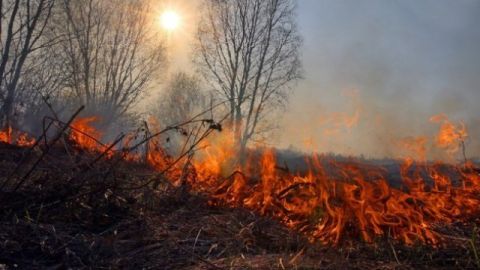 За добу на Львівщині зафіксували 16 пожеж сухостою