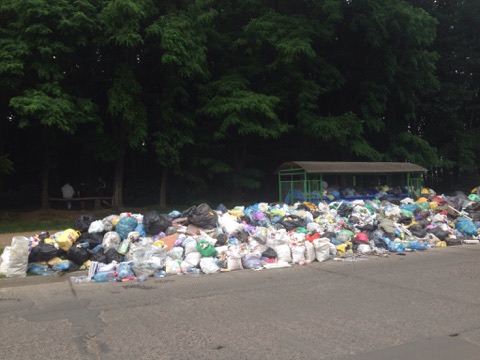 Міськрада Львова виділила додаткові 40 мільйонів  на вивезення сміття з міста