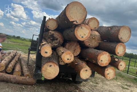 Директора дочірнього підприємства Галсільлісу викрили на незаконній вирубці лісу