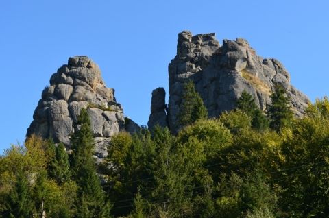 На Львівщині існує 353 заповідників та пам'яток природи