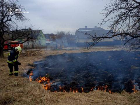 За добу на Львівщині зафіксували майже 30 пожеж сухостою
