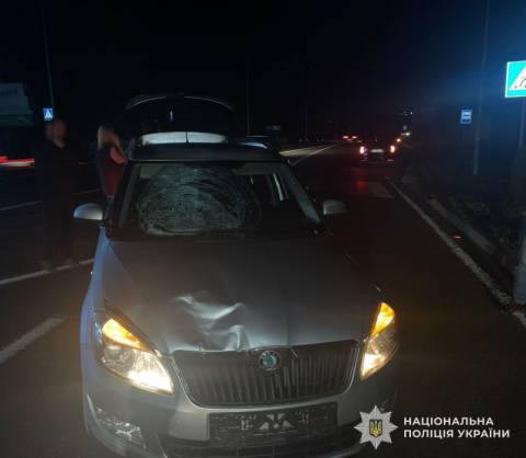 На трасі Львів – Пустомити – Меденичі водій Skoda Fabia збив дитину