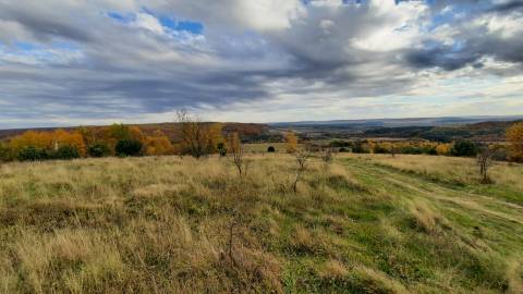 природа Золочівської громади
