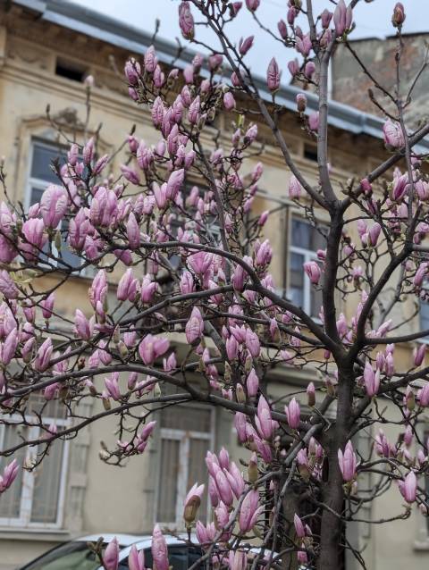 Погода на вихідні: ясно, +15°C