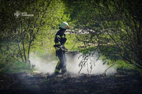 За добу на Львівщині зафіксували дев'ять пожеж сухостою