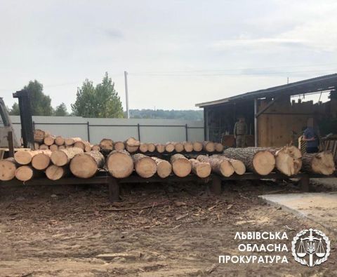 На території Яворівського національного парку викрили схему вирубки дерев