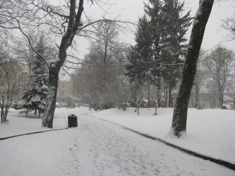 На Львівщині прогнозують сильні снігопади та ожеледицю