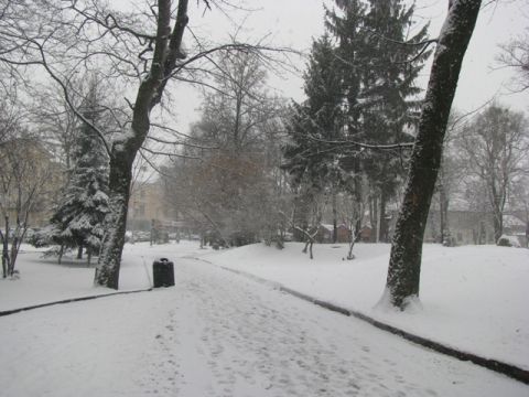 Внаслідок переохолодження мешканкець Самбірщини потрапив у лікарню