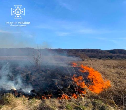 За добу на Львівщині зафіксували 18 пожеж сухостою