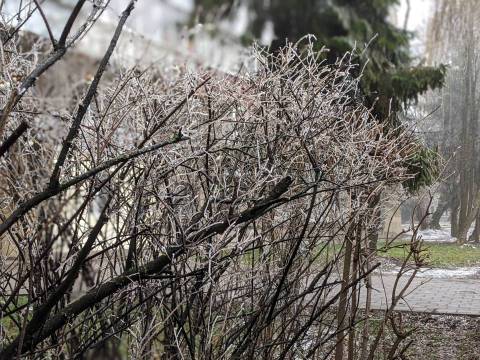 Курс валют у Львові на 3 березня