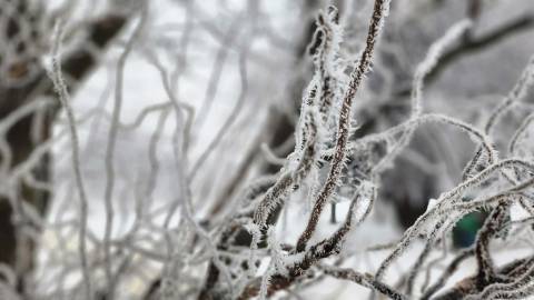 П'ять діячів з Львівщини отримали звання від Зеленського