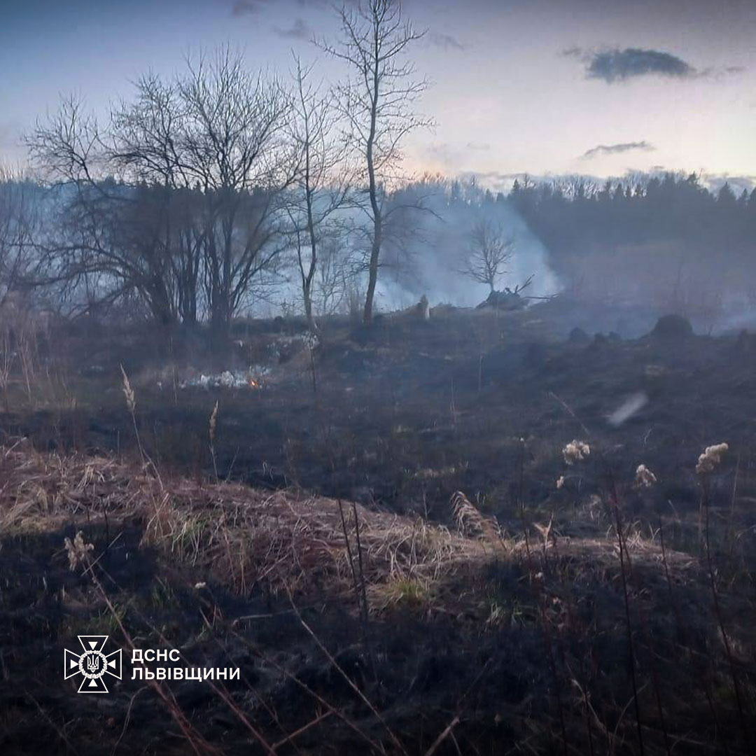 За добу на Львівщині зафіксували шість пожеж сухостою