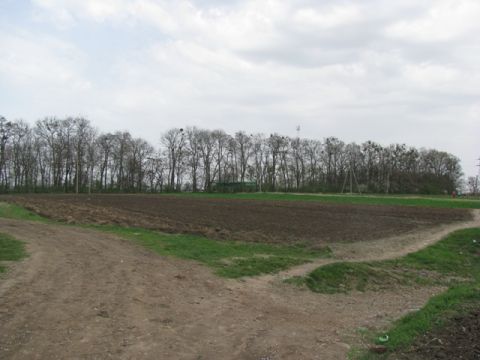 На Львівщині приватна фірма втратила 50 га землі