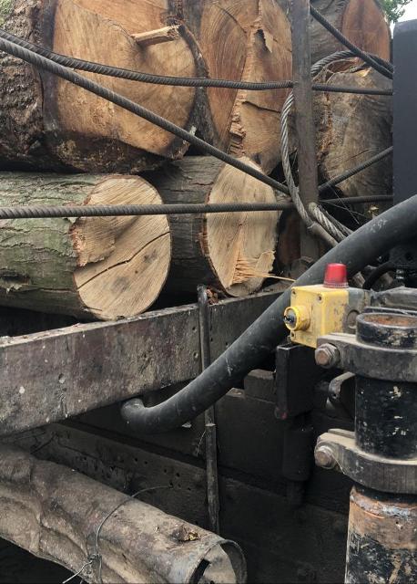 На Мостищині виявили вантажівку з нечіпованими колодами дерев