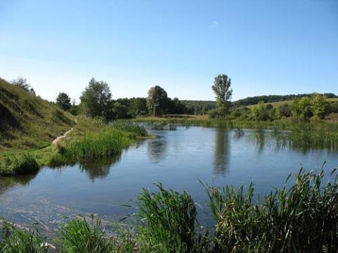 На Львівщині у ставку втопилися двоє дітей