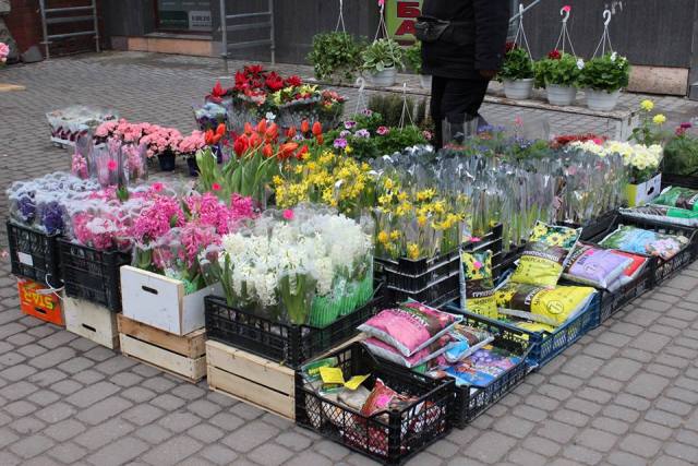 Львівська ОВА витратить 300 тисяч на троянди та хризантеми з синьо-жовтою стрічкою