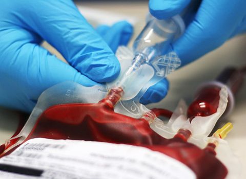Військовий шпиталь шукає донорів крові для поранених військових у зоні АТО