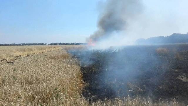 На Львівщині ліквідували три займання сухої трави та стерні