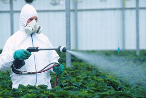 Ізраїльська компанія нарешті вивезе пестициди із Львівської області