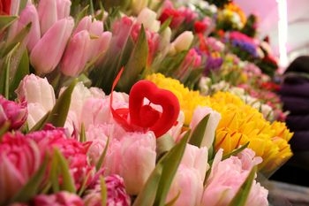 Тюльпани коштують найдешевше на львівських квіткових ринках у день Св. Валентина