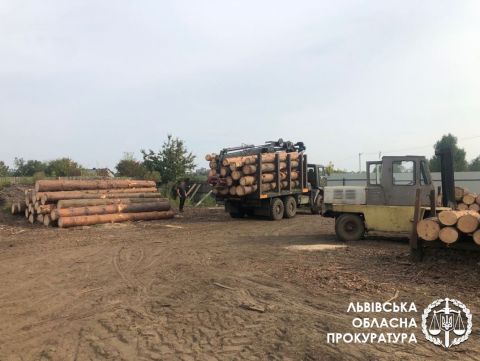 На Львівщині викрили масштабну схему вирубки дерев на території Яворівського природного парку