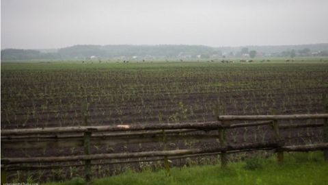 На Львівщині віддали в оренду 6 земельних ділянок