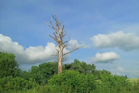 1300
днів і ночей