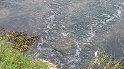 На гірських територіях Львівщини найкраща якість води у річках