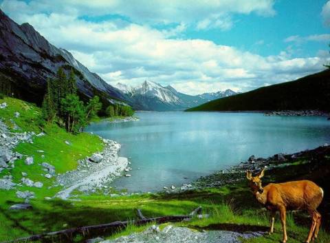 Наглядова рада за виконанням екологічної програми на 2012-2016 роки створена у Львівській міськраді