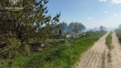 За добу на Львівщині зафіксували п'ять пожеж сухостою