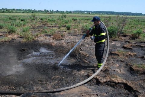 Домажирські скандали у Зелеві